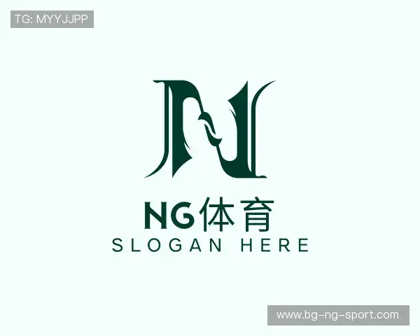 了解ng体育一键进入